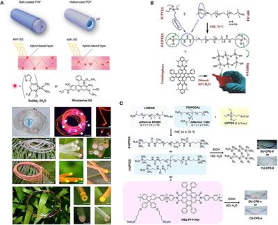 Host Matrix Materials for Luminescent Solar Concentrators: Recent Achievements and Forthcoming Challenges